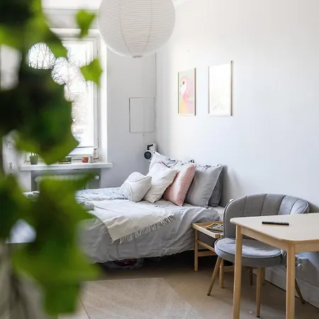 Compact In Toeoeloe, Heart Of Helsinki