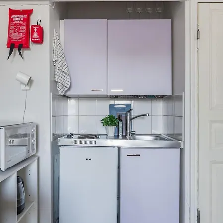 Compact In Toeoeloe, Heart Of Helsinki