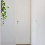 Apartment Compact In Toeoeloe, Heart Of *